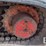 kubota-kx040-4-image-27