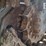 2020-bobcat-t650-image-23