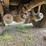 #2525-•-2006-freightliner-m2-tandem-axle-dump-truck-image-21