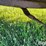 2000-bush-hog-2615l-image-13