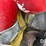 new-holland-354-image-23
