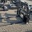 #2071-•-blue-diamond-48"-skid-steer-pallet-forks-image-1