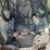 2020-caterpillar-262d3-image-9