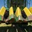john-deere-7460-image-9