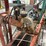 bag-conveyor-(dr11840)-image-5