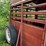 6ft-x-16ft-gooseneck-livestock-trailer-image-12