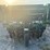 great-plains-3p605nt-image-3