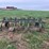 john-deere-100-image-4