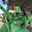 2012-john-deere-8335rt-image-27