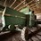 john-deere-6620-image-4