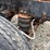 2001-sterling-truck-(dr11851-unit-9459)-image-50