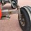 1980-massey-ferguson-2705-image-40