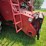 2002-case-ih-2388-image-66