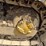1984-caterpillar-d6d-image-21