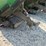 2011-john-deere-606c-image-12