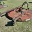 brown-417-image-4