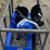 #70-•-skid-steer-augers-w/-3-bits---6in,-12in,-14in-image-4
