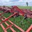 case-ih-4700-image-26