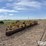 hamby-cultipacker-image-7
