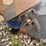 bobcat-broom-attachment-(gp11031)-image-9