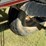 2014-case-ih-340-image-5