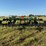 john-deere-2430-image-10