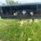 rail-trailer-image-7