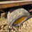 willmar-wrangler-image-30