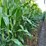 283-acres-of-franklin-county-real-estate-image-13