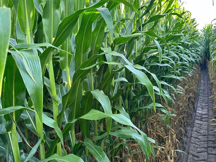 283-acres-of-franklin-county-real-estate-image-13