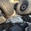 2005-ford-f350-xlt-image-14