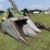 new-idea-324-image-3