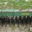 john-deere-400-image-19