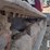 2018-takeuchi-tl8-image-30
