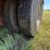 ez-trail-450-image-3