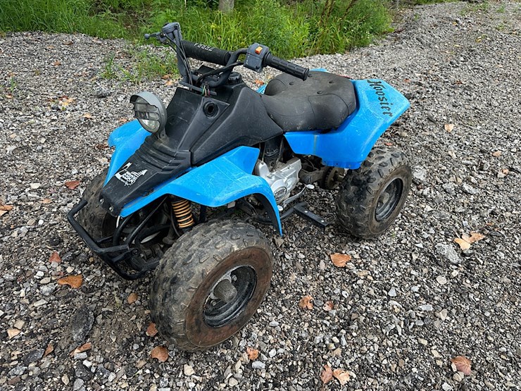 zebra-international-youth-atv-image-1