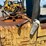 caterpillar-t50c-image-38