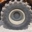 2019-raven-viper-image-52