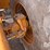 cummins-m11-image-45