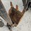 #201972-•-kelley-backhoe-attachment-image-2