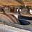 2022-barford-tr8036-image-12