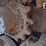 2018-takeuchi-tl8-image-21