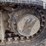 2023-yanmar-sv40-image-29