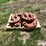 case-ih-rear-wheel-weights-image-11