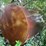 1500-gal-fuel-tank-image-9