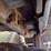 2004-deere-650h-image-33