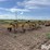 hamby-wfa321-image-7