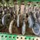 john-deere-bd1113-image-10