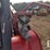 takeuchi-tl12-image-15