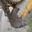 caterpillar-d5m-lgp-ii-image-36